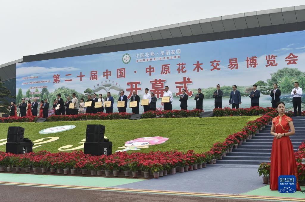 宝马棋牌官网f